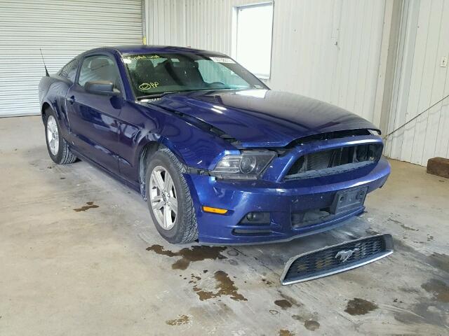 1ZVBP8AM2D5228785 - 2013 FORD MUSTANG BLUE photo 1