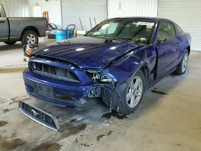 1ZVBP8AM2D5228785 - 2013 FORD MUSTANG BLUE photo 2