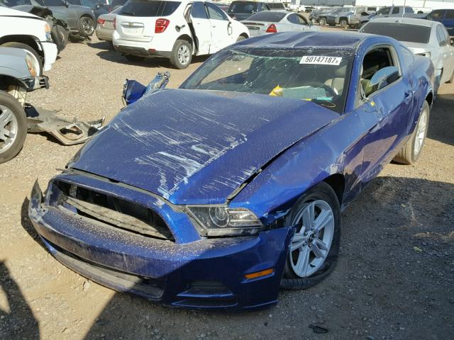 1ZVBP8AM4E5281392 - 2014 FORD MUSTANG BLUE photo 2