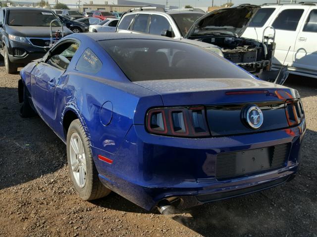 1ZVBP8AM4E5281392 - 2014 FORD MUSTANG BLUE photo 3
