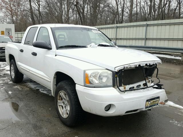 1D7HE48N65S353162 - 2005 DODGE DAKOTA QUA WHITE photo 1