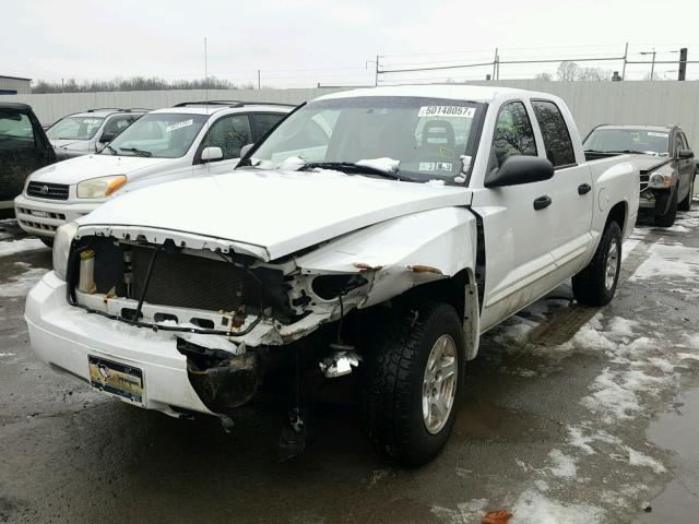 1D7HE48N65S353162 - 2005 DODGE DAKOTA QUA WHITE photo 2