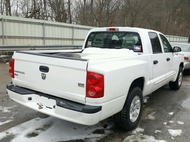 1D7HE48N65S353162 - 2005 DODGE DAKOTA QUA WHITE photo 4