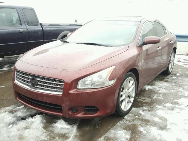 1N4AA5AP3AC850415 - 2010 NISSAN MAXIMA S MAROON photo 2