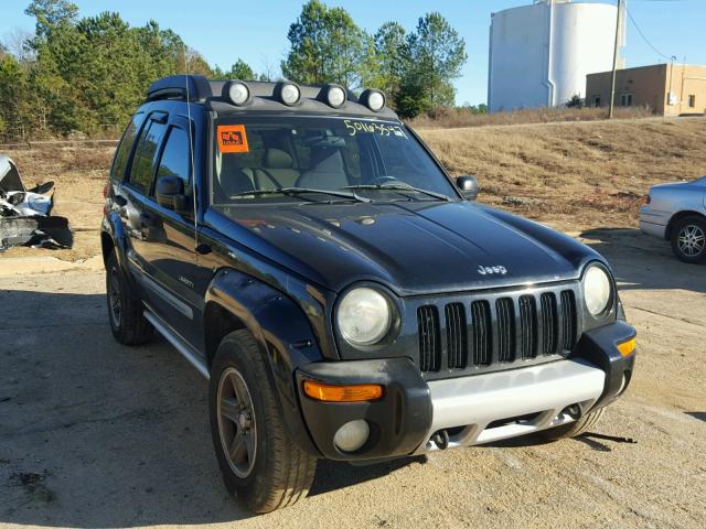 1J4GK38K34W113339 - 2004 JEEP LIBERTY RE BLACK photo 1