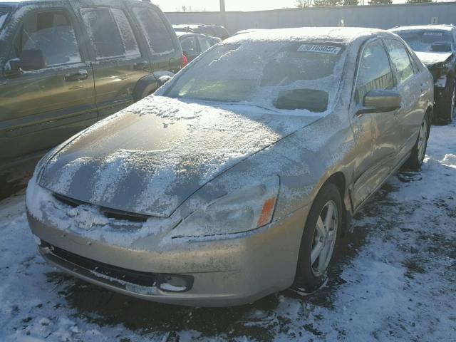 JHMCM56683C049944 - 2003 HONDA ACCORD EX TAN photo 2