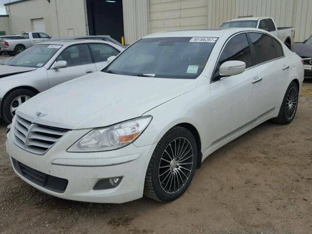 KMHGC4DF9AU092226 - 2010 HYUNDAI GENESIS 4. WHITE photo 2