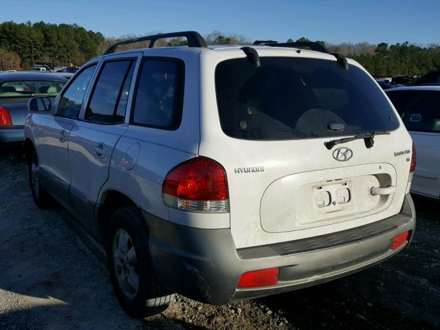 KM8SC13D95U902355 - 2005 HYUNDAI SANTA FE G WHITE photo 3