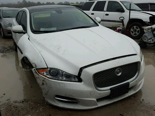 SAJWA2GB5CLV31953 - 2012 JAGUAR XJL BASE WHITE photo 1