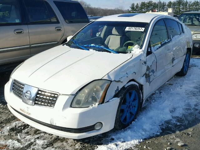 1N4BA41E24C812997 - 2004 NISSAN MAXIMA SE WHITE photo 2