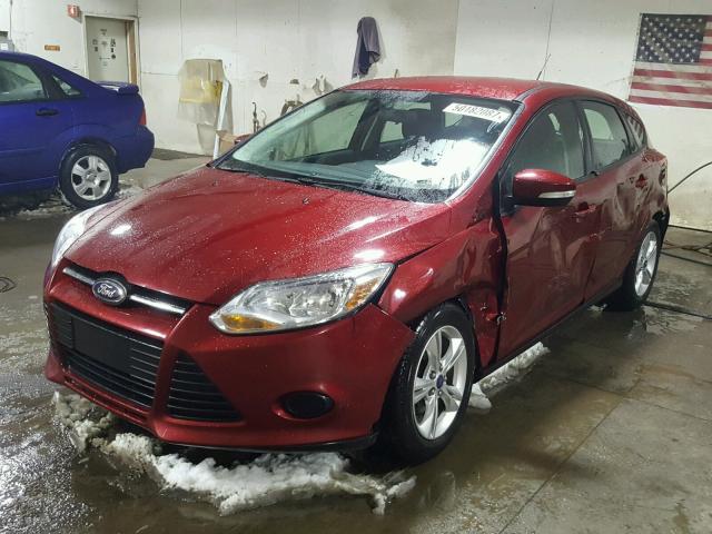 1FADP3K28DL169254 - 2013 FORD FOCUS SE RED photo 2