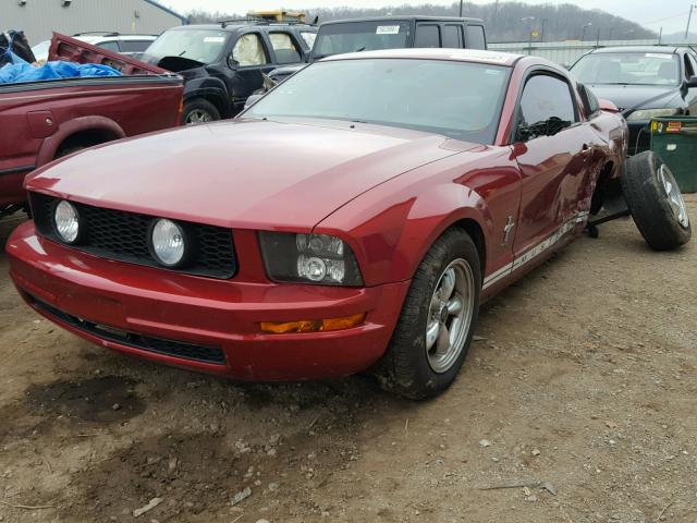 1ZVFT80N875349493 - 2007 FORD MUSTANG RED photo 2