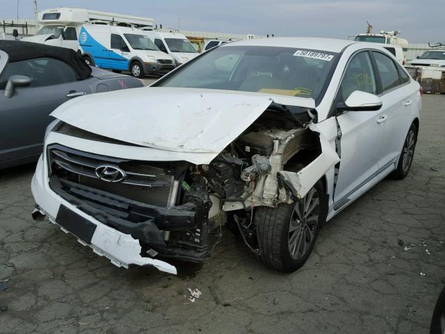 5NPE34AF9GH361229 - 2016 HYUNDAI SONATA SPO WHITE photo 2