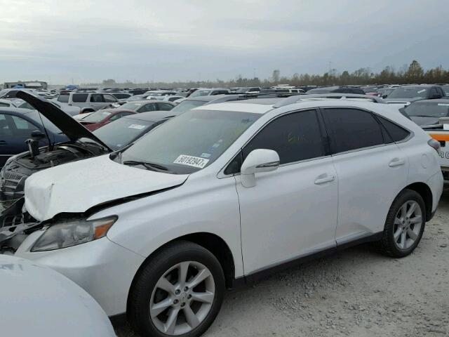 2T2ZK1BA0AC003920 - 2010 LEXUS RX 350 WHITE photo 2