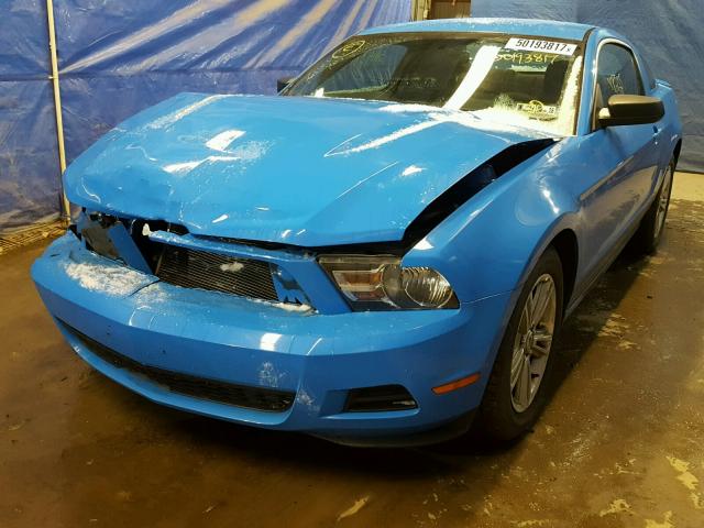 1ZVBP8AN5A5123338 - 2010 FORD MUSTANG BLUE photo 2