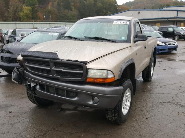 1B7GG16X12S671642 - 2002 DODGE DAKOTA BAS TAN photo 2