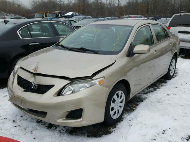 2T1BU4EE8AC461365 - 2010 TOYOTA COROLLA BA BEIGE photo 2