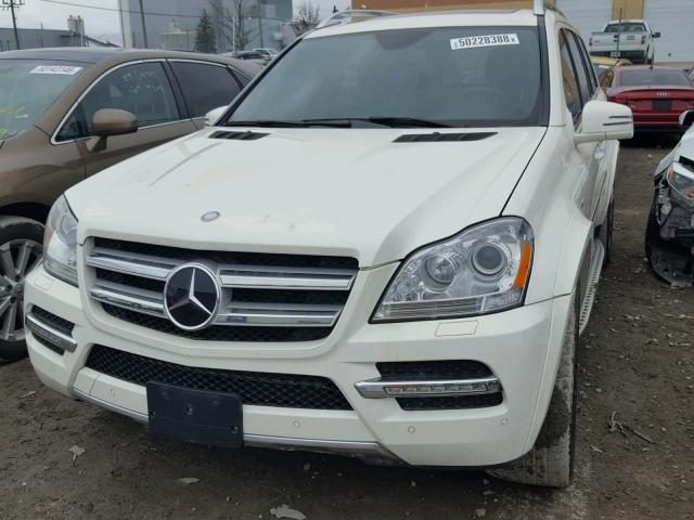 4JGBF2FE5CA785468 - 2012 MERCEDES-BENZ GL 350 BLU WHITE photo 9