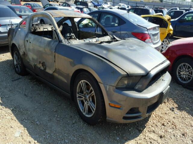 1ZVBP8AM8E5291505 - 2014 FORD MUSTANG GRAY photo 1