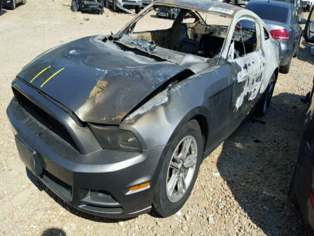 1ZVBP8AM8E5291505 - 2014 FORD MUSTANG GRAY photo 2