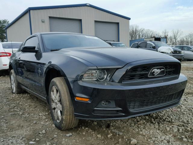 1ZVBP8AM4D5252554 - 2013 FORD MUSTANG BLACK photo 1