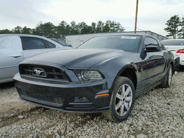 1ZVBP8AM4D5252554 - 2013 FORD MUSTANG BLACK photo 2