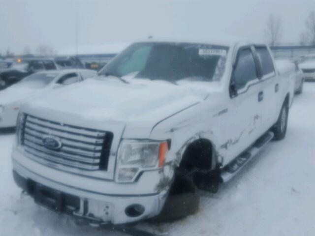 1FTFW1EF8BFC18960 - 2011 FORD F150 SUPER WHITE photo 2