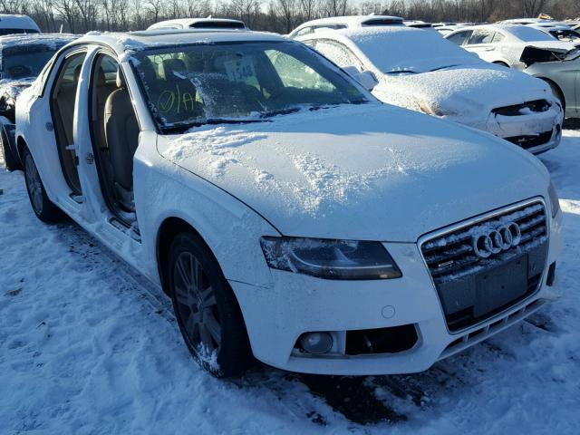 WAUBFAFL2BA098599 - 2011 AUDI A4 PREMIUM WHITE photo 1