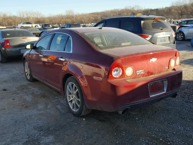 1G1ZK57719F241442 - 2009 CHEVROLET MALIBU LTZ 栗色 照片 3