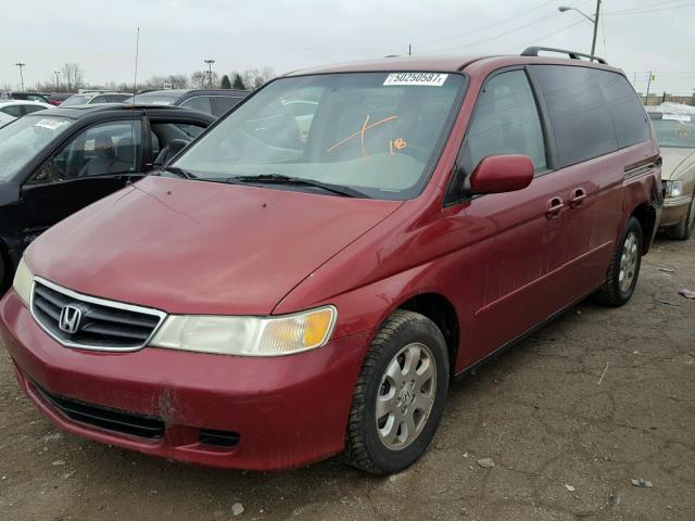 5FNRL18894B126721 - 2004 HONDA ODYSSEY EX RED photo 2