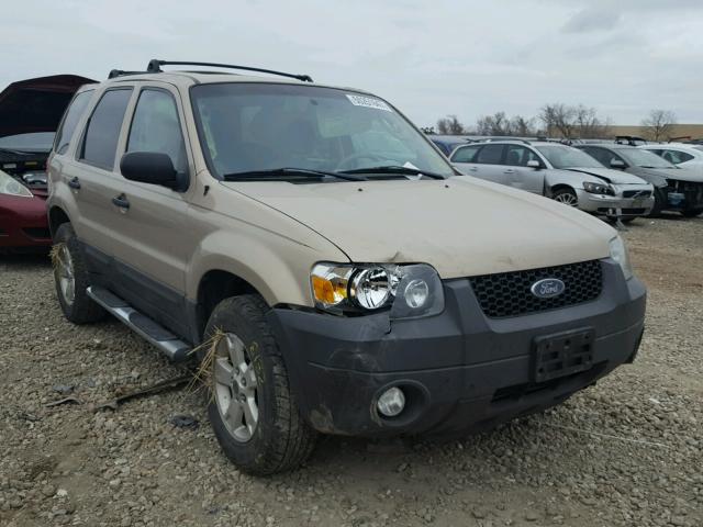 1FMCU03Z27KA68158 - 2007 FORD ESCAPE XLT TAN photo 1