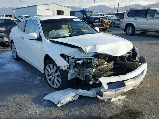 1HGCS228X8A006515 - 2008 HONDA ACCORD EXL WHITE photo 1