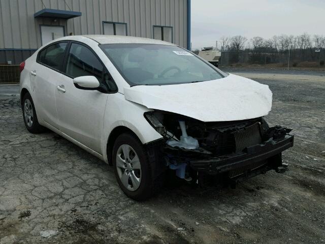 KNAFK4A69E5087158 - 2014 KIA FORTE LX WHITE photo 1