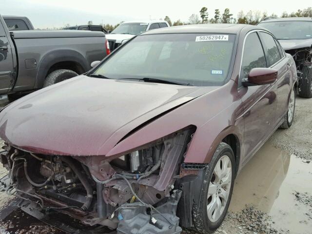 JHMCP26858C010792 - 2008 HONDA ACCORD EXL MAROON photo 2