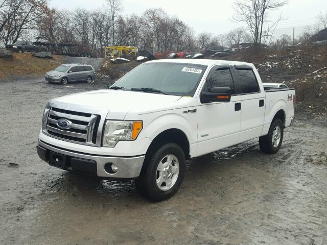 1FTFW1CT1BFB75295 - 2011 FORD F150 SUPER WHITE photo 2