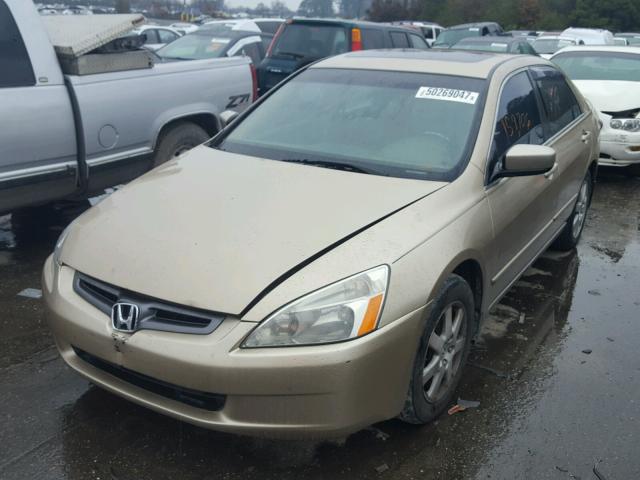 1HGCM66525A047508 - 2005 HONDA ACCORD EX GOLD photo 2