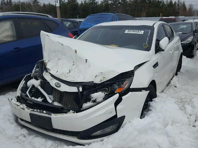 KNAGM4A71D5389985 - 2013 KIA OPTIMA LX WHITE photo 2