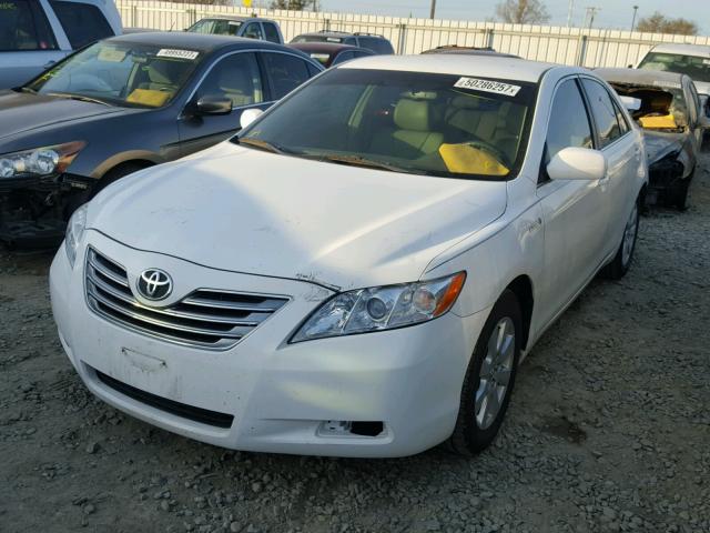 4T1BB46K29U089378 - 2009 TOYOTA CAMRY HYBR WHITE photo 2