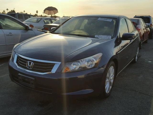 JHMCP26369C006966 - 2009 HONDA ACCORD LX BLUE photo 2