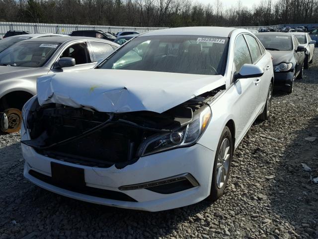 5NPE24AF8FH184268 - 2015 HYUNDAI SONATA SE WHITE photo 2