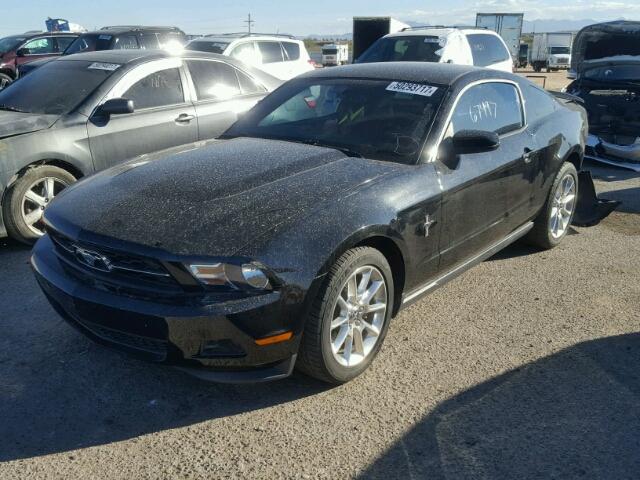 1ZVBP8AM1B5130053 - 2011 FORD MUSTANG BLACK photo 2