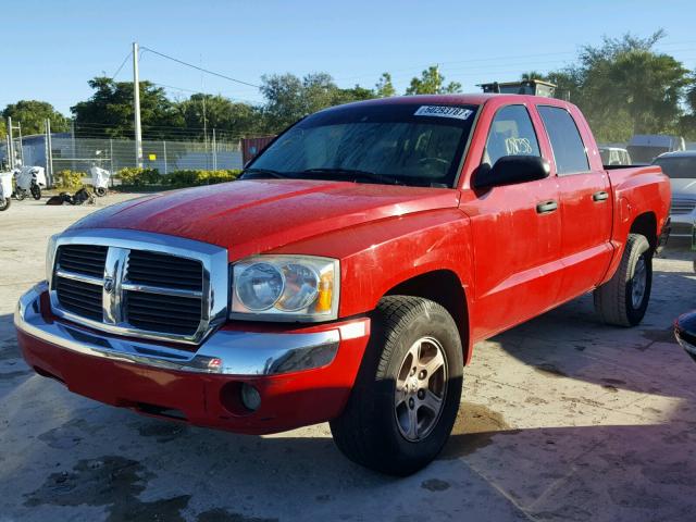 1D7HE58N16S501631 - 2006 DODGE DAKOTA QUA RED photo 2