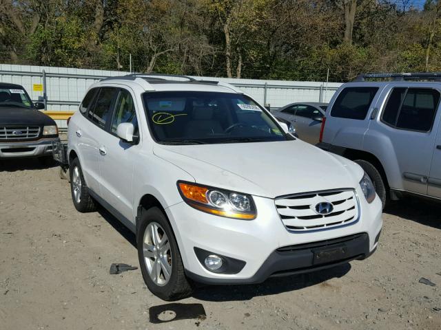 5XYZKDAG3BG069511 - 2011 HYUNDAI SANTA FE L WHITE photo 1