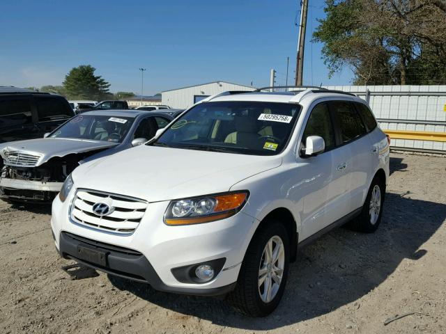 5XYZKDAG3BG069511 - 2011 HYUNDAI SANTA FE L WHITE photo 2