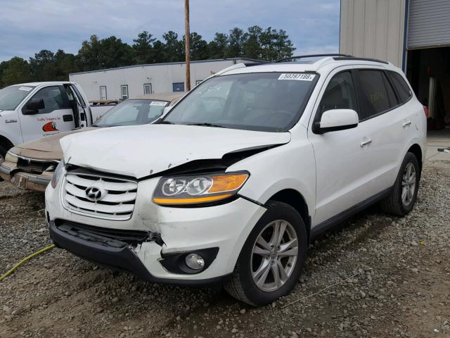 5NMSK4AG4AH342378 - 2010 HYUNDAI SANTA FE L WHITE photo 2