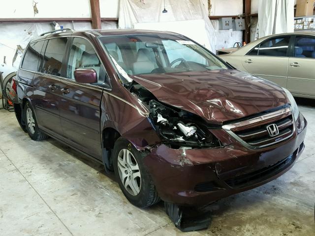 5FNRL38407B015357 - 2007 HONDA ODYSSEY EX PURPLE photo 1