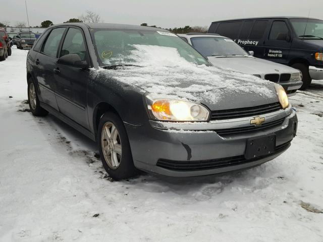 1G1ZT62875F125093 - 2005 CHEVROLET MALIBU MAX 灰色 照片 1