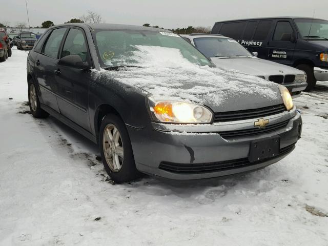 1G1ZT62875F125093 - 2005 CHEVROLET MALIBU MAX GRAY photo 1