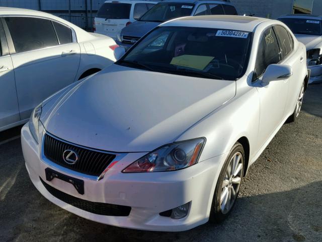 JTHBF5C25A5125757 - 2010 LEXUS IS 250 WHITE photo 2