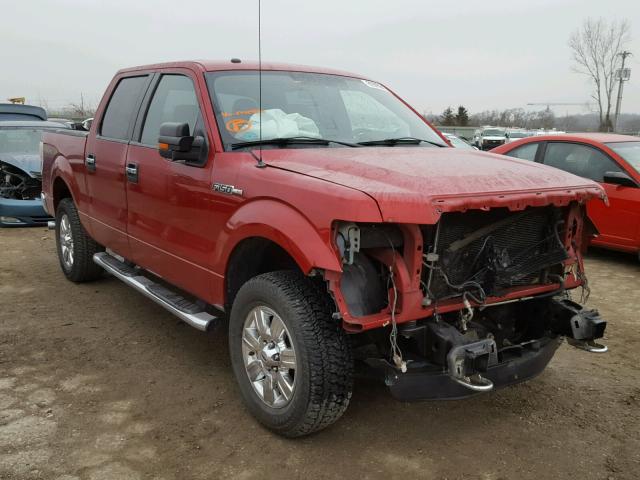 1FTFW1EF1BFA41586 - 2011 FORD F150 SUPER RED photo 1